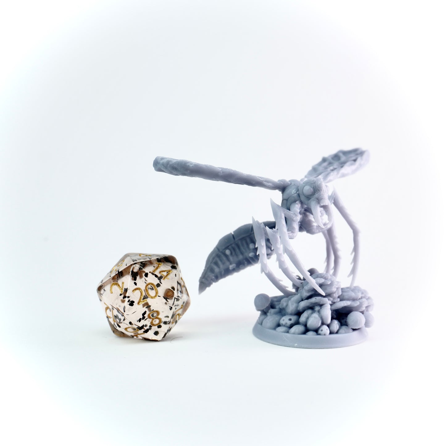 Detailed giant insect on a white background