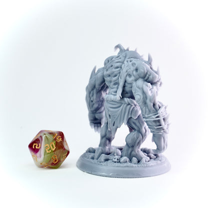 Gray fantasy figurine on a white background with a polyhedral dice.